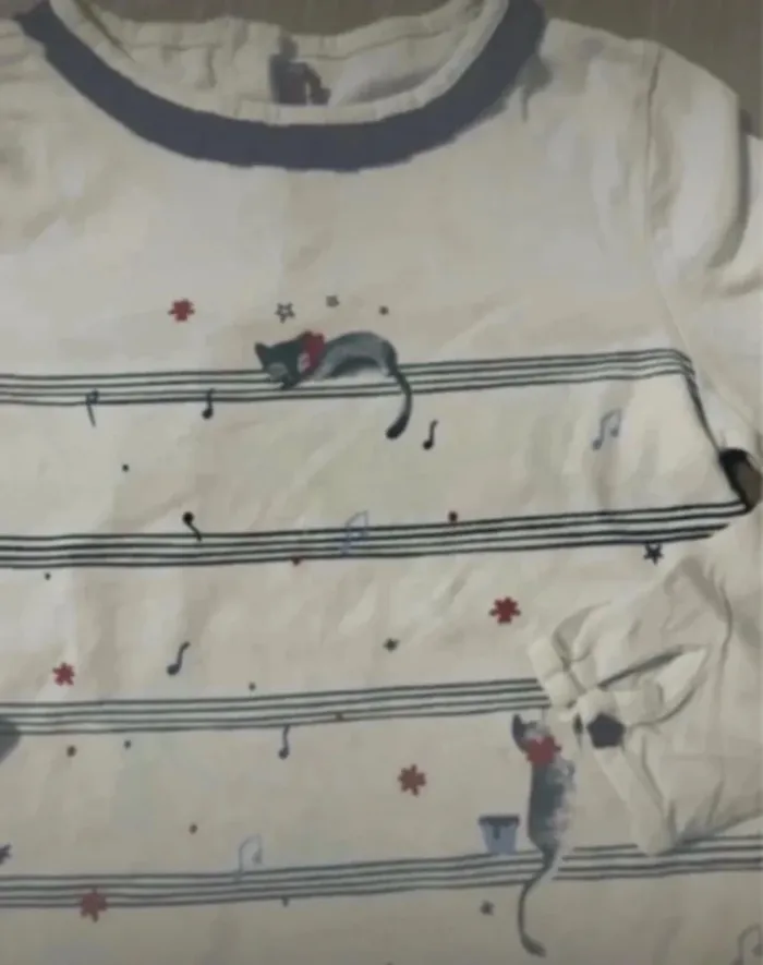 Lot de trois tee shirts manches longues - photo numéro 10