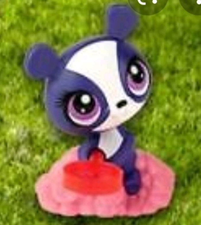 Petshop panda - photo numéro 2