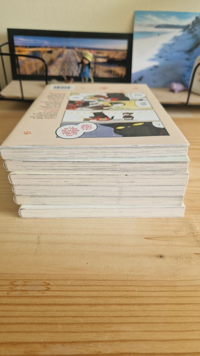 Manga mon chat à tout faire est encore tout déprimé - photo numéro 3