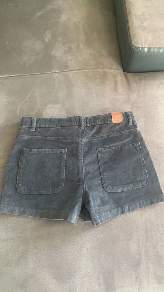 Short hiver - photo numéro 3