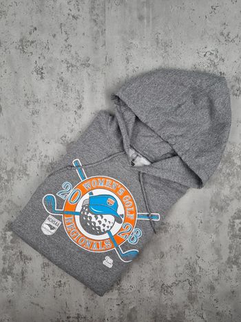 Pull à capuche universitaire – Gris – Taille S Hommes (mesures en photos)