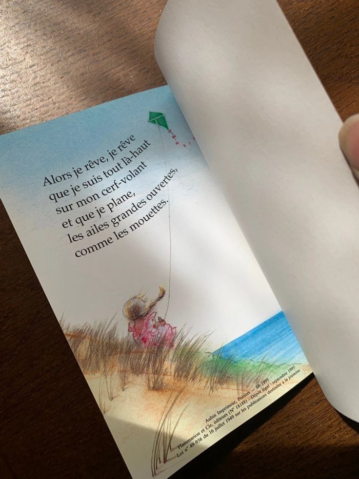 Le vent - photo numéro 10