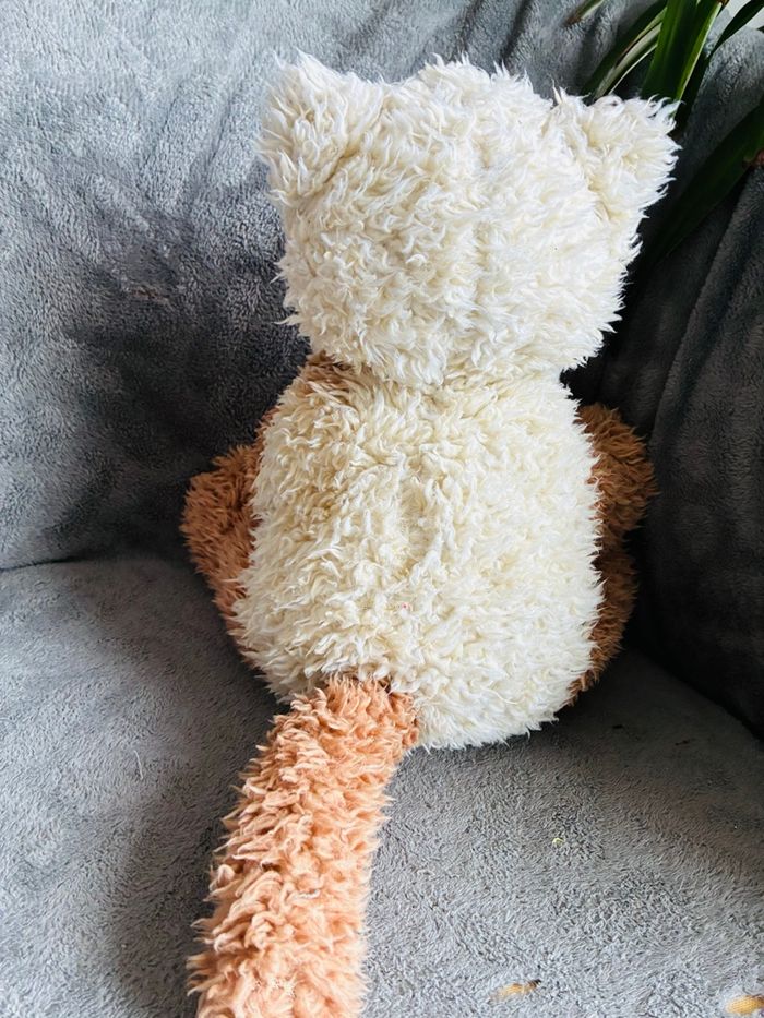 Lot peluches chat - photo numéro 10