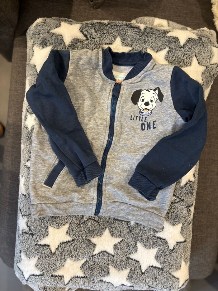 Veste dalmatiens importer