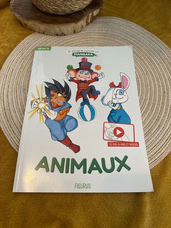 Livre je dessine comme un Mangaka