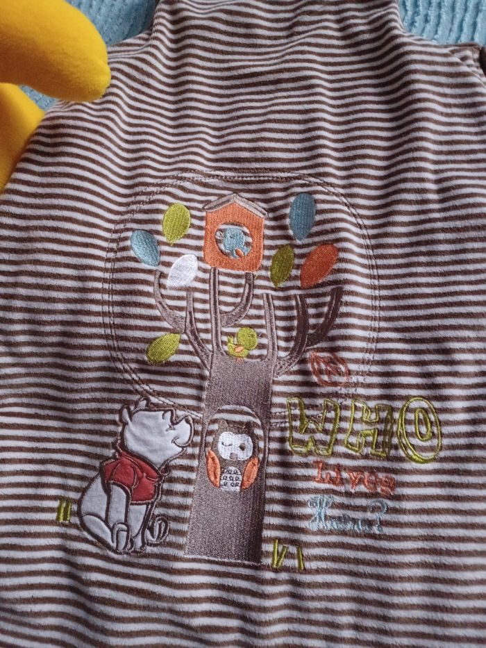 Gigoteuse Winny l'ourson avec peluche - photo numéro 2