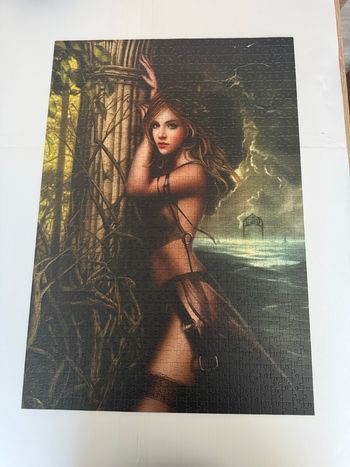 Puzzle de 1000 pièces de la marque Grafika 