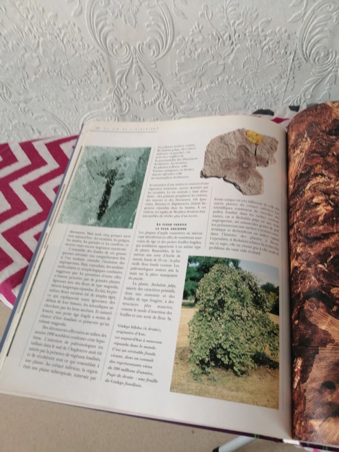 La terre avant l homme - photo numéro 4