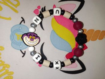 Collier anti tique animaux