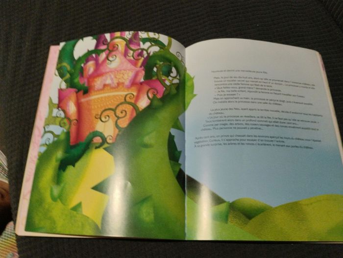 Mes contes de princesses - photo numéro 4