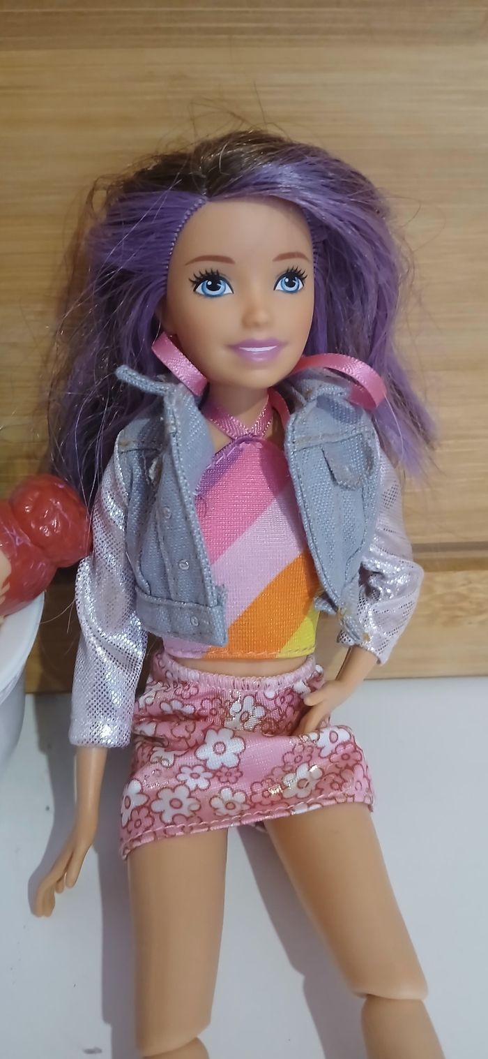 Barbie skipper - photo numéro 5