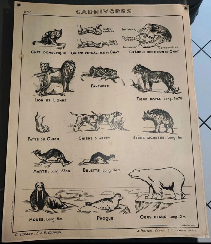 Affiche scolaire vintage n°13/13 bis dirand carron - photo numéro 2