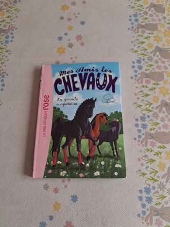 Livre mes amis les chevaux tome e