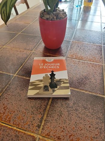 Le joueur d échec