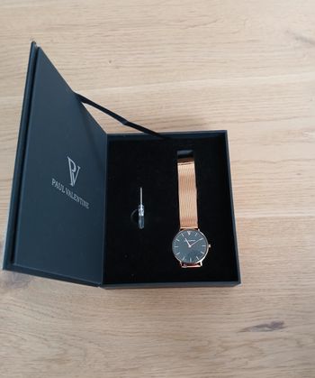 Montre Paul Valentine