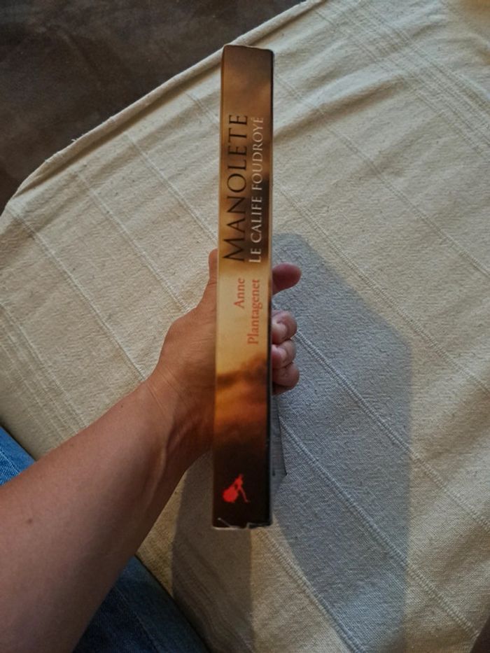 Livre Manolete de Anne Plantagenet - photo numéro 3