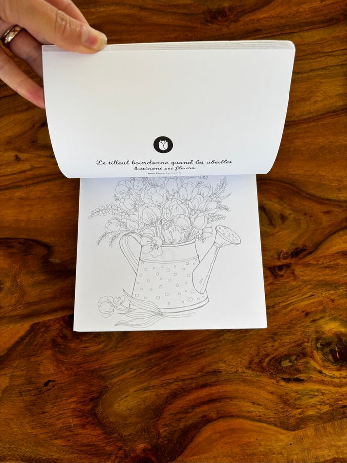 Carnet de coloriage - photo numéro 4