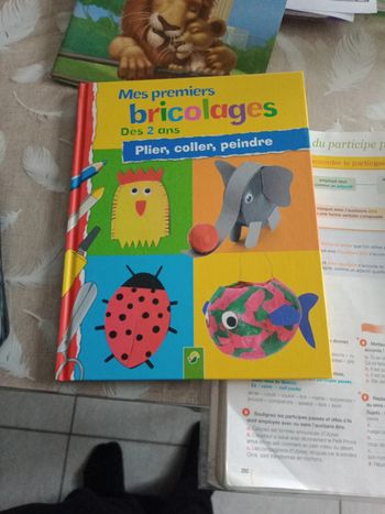 Livre :"Mes premiers bricolages"