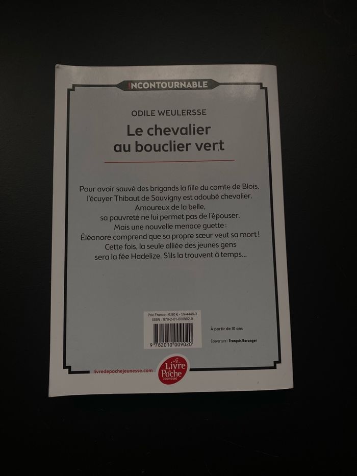 Livre le chevalier au bouclier vert - photo numéro 2