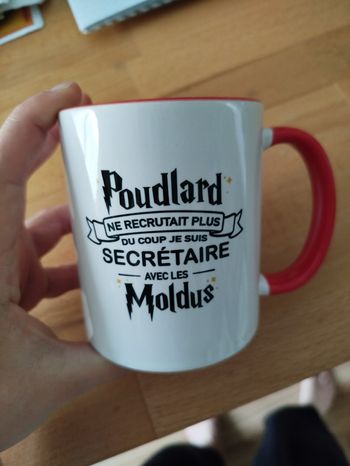 Mug tasse Poudlard ne le recrutait plus du coup je suis secrétaire avec les moldus
