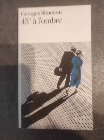 45° à l'ombre Georges Simenon Folio  1997