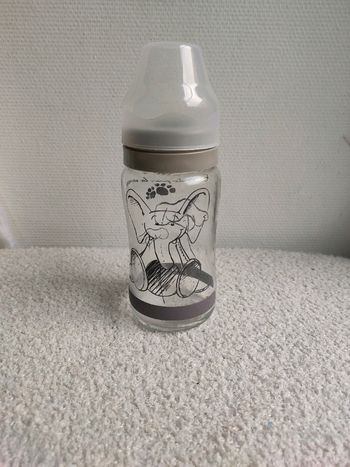 Biberon en Verre Thermobaby 