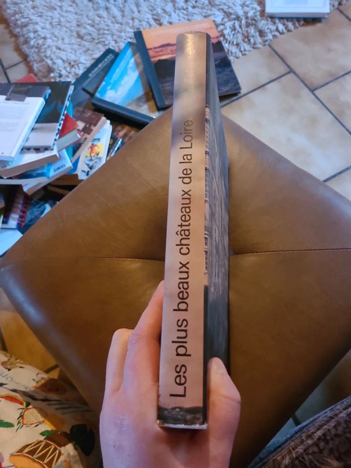 Les plus beaux Chateaux de la loire - photo numéro 4