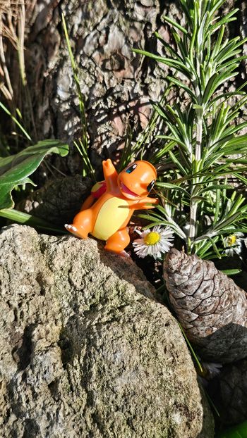 Super figurine Pokemon Nintendo Salameche