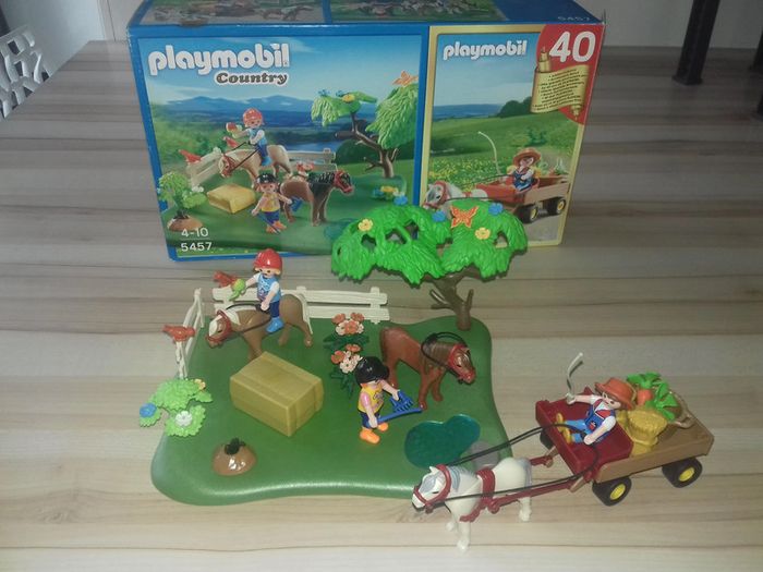 Boite playmobil 5457 - photo numéro 5