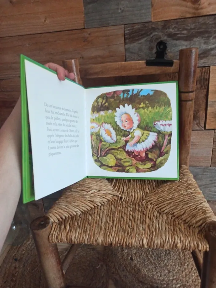 Livre les drôles de petites bêtes Lorette la pâquerette tbe - photo numéro 3