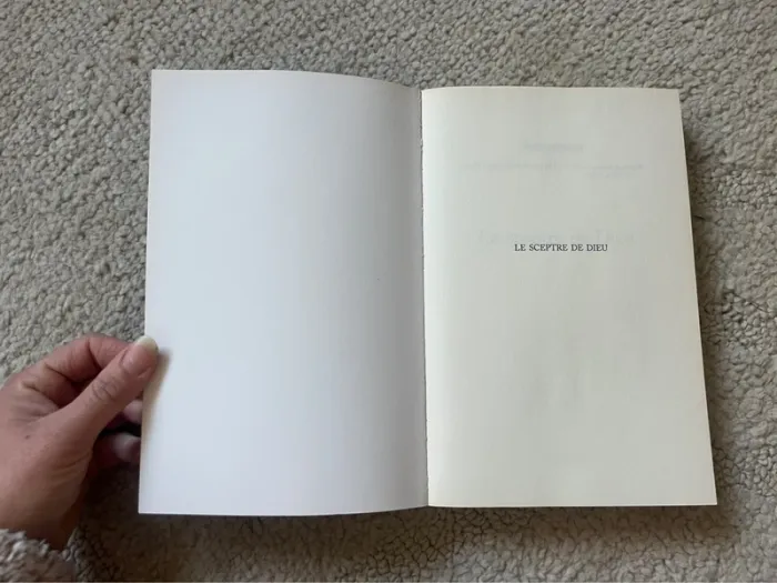 Livre type thrilleur : Le sceptre de Dieu par André Journo - photo numéro 7