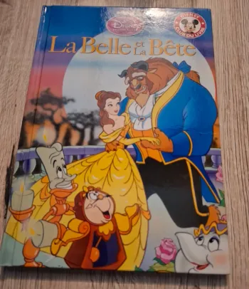 Livre  la belle et  la bête