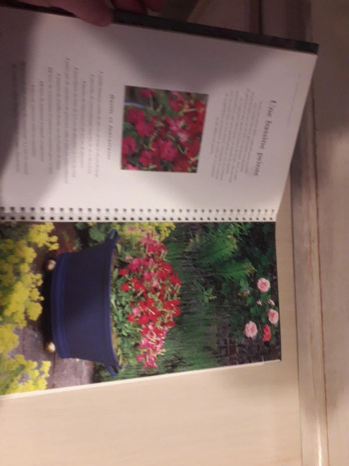 Pots et jardinières - photo numéro 2