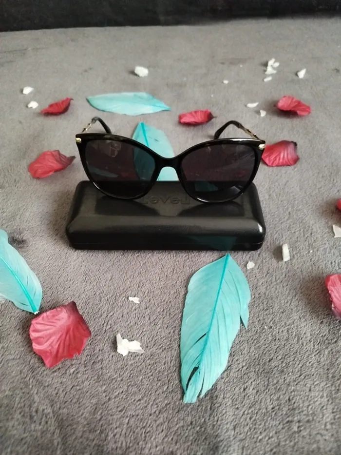 Lunettes de soleil (boitier NON inclu)