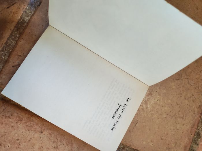 L'homme qui brillait la nuit, livre de Sid Fleischman - photo numéro 3