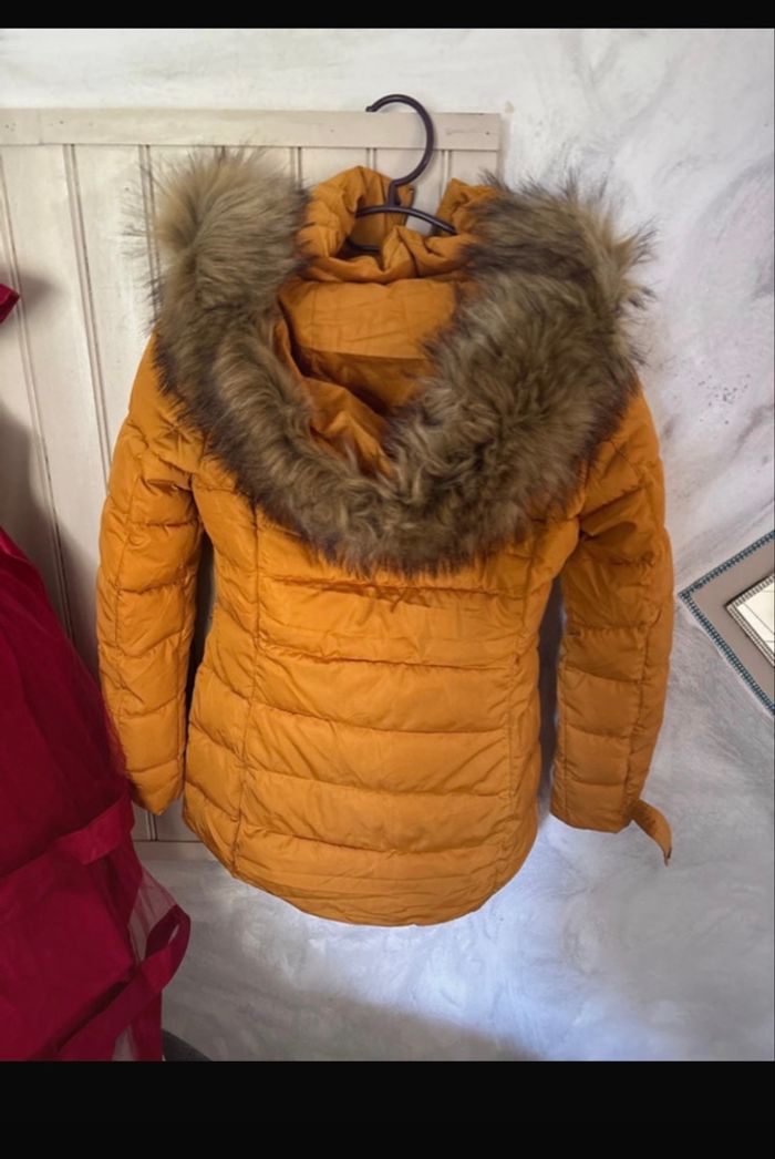 Manteau - photo numéro 2