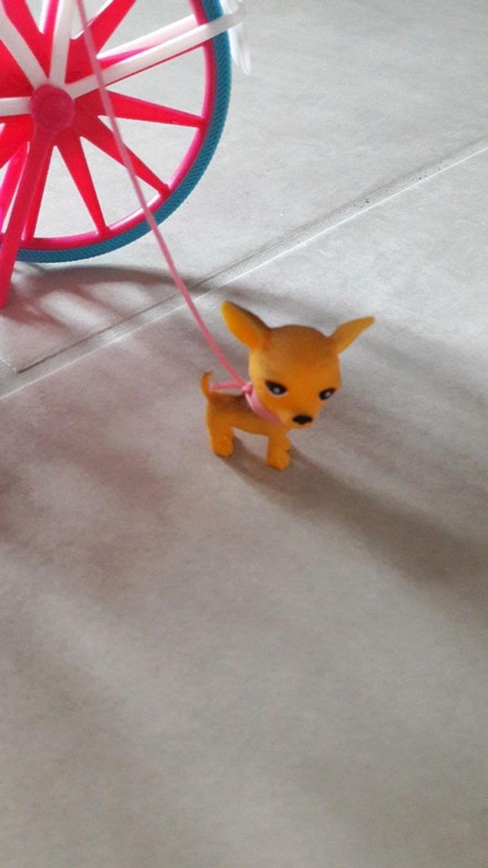 Steffi promenade velo et son chien - photo numéro 7