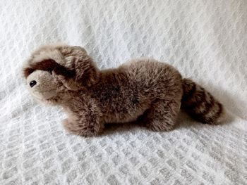 Peluche Raton Laveur Gund