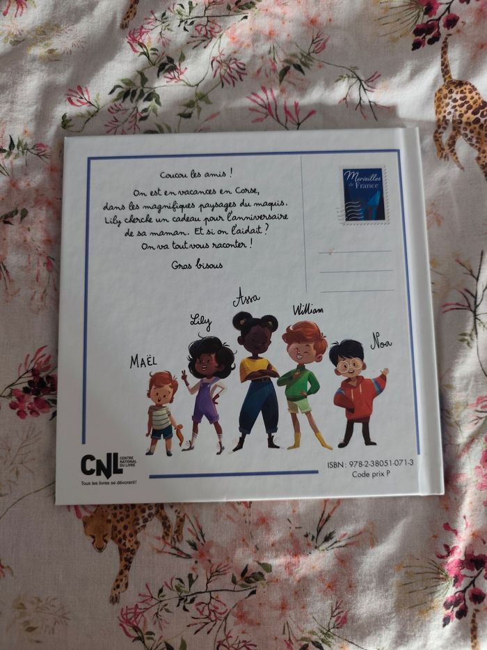 Un anniversaire dans le maquis corse - photo numéro 2