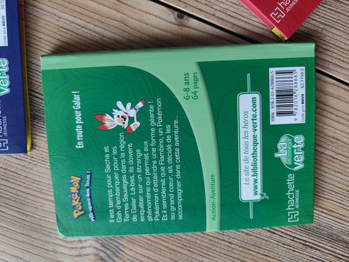 Lives 1 à 4 Pokémon série "Les Voyages" - photo numéro 7