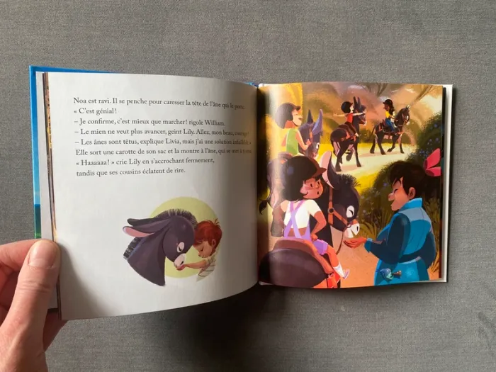 Livre McDonald's un anniversaire dans le maquis corse Virginie grimaldi - photo numéro 3