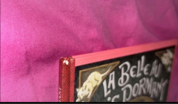 La Belle au bois dormant - photo numéro 2