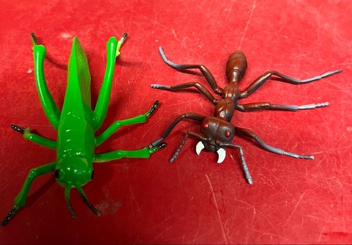 Lot d’Insectes - photo numéro 2