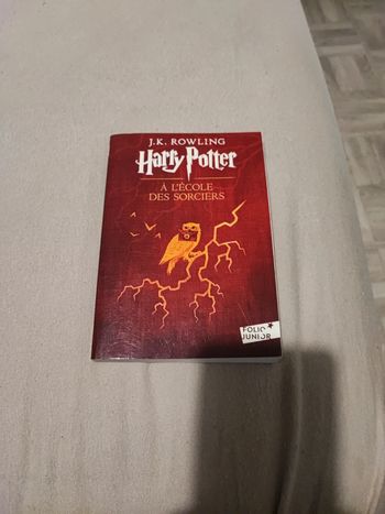 Harry Potter à l'école des sorciers