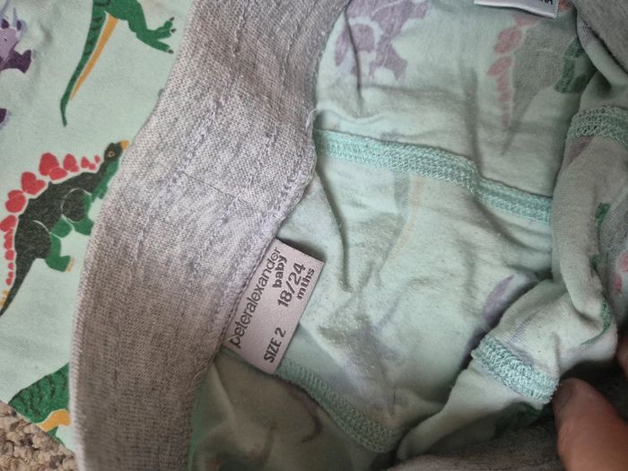 Pyjama 2 pièces short peter alexander 24 mois - photo numéro 3
