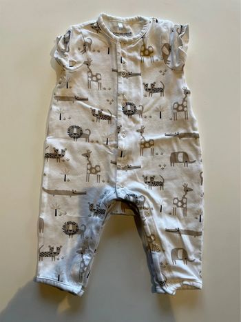 Combi d’été orchestra