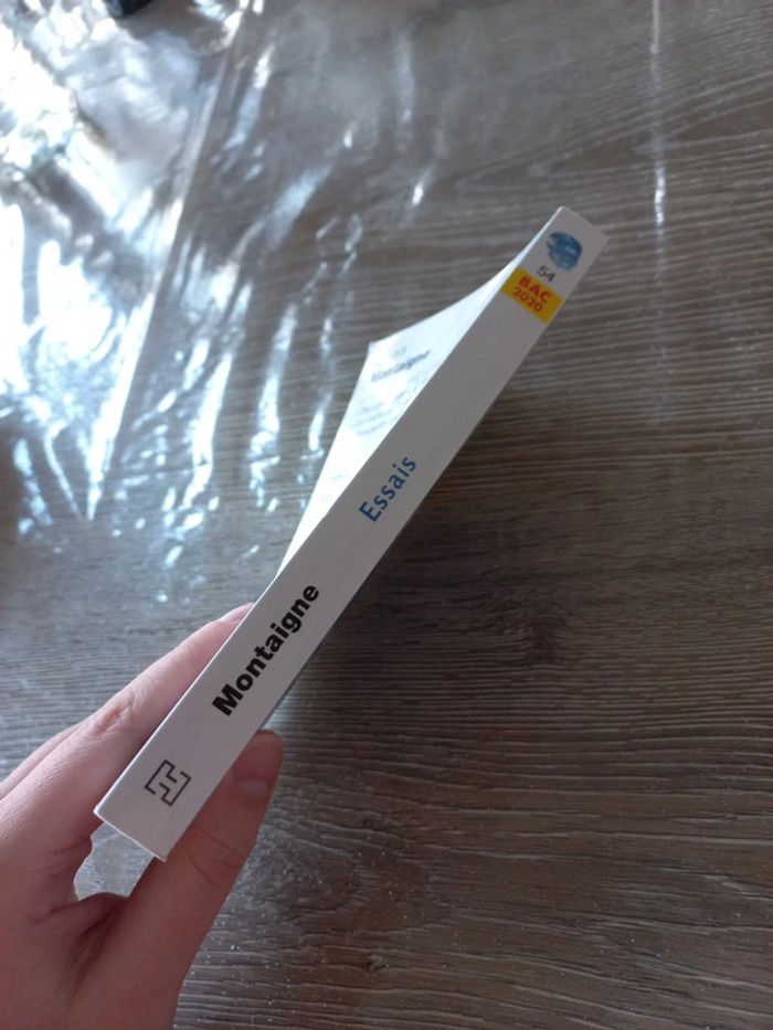 Essais Montaigne - photo numéro 3