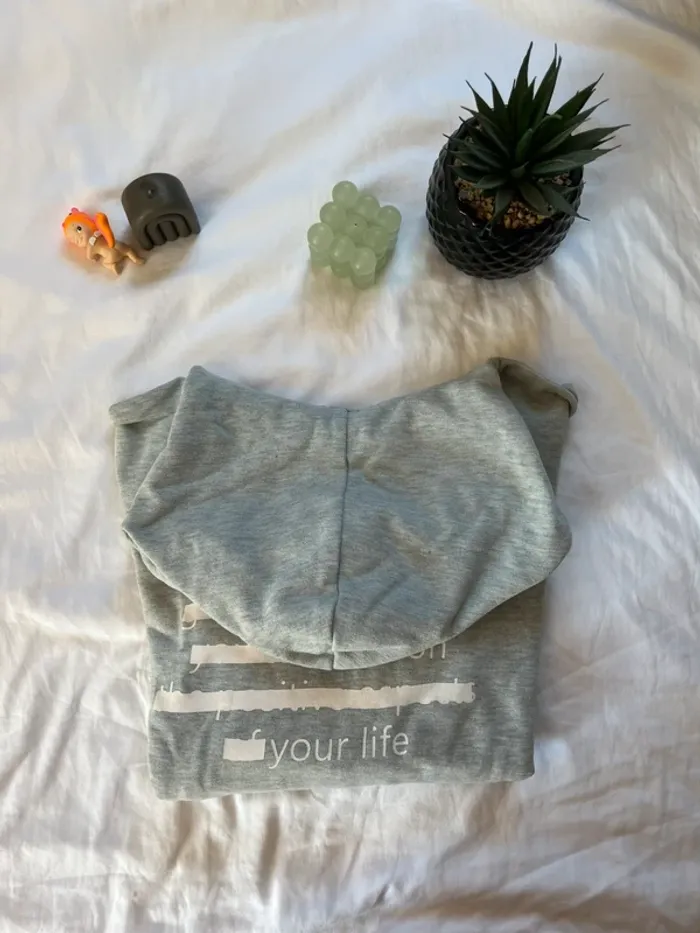 sweat à capuche - photo numéro 2