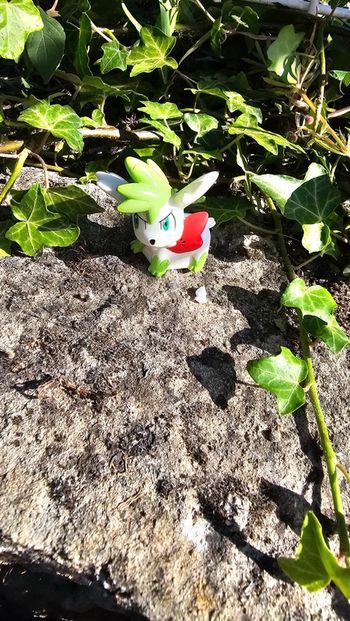 Super figurine Pokemon Nintendo finger puppet shymin