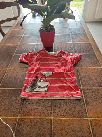 Tee shirt manches courtes gorille